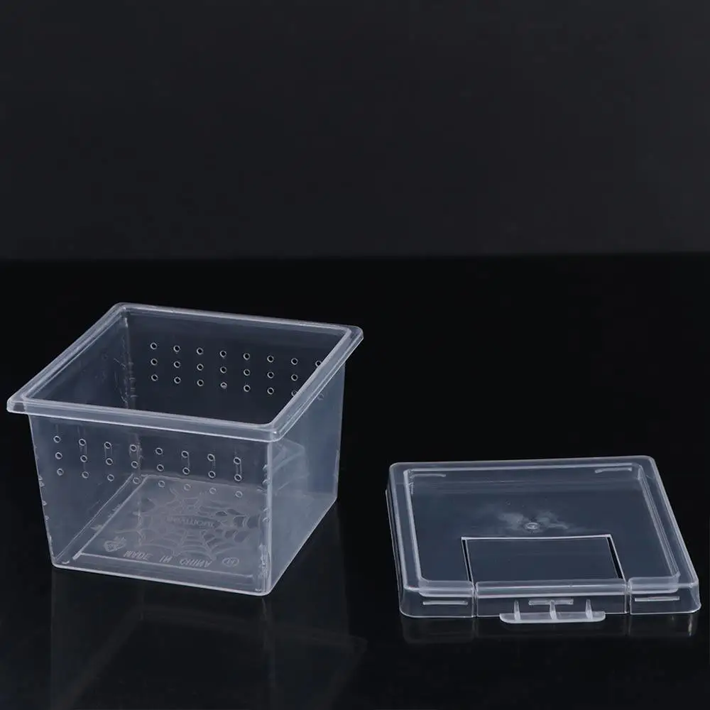 Household Reptile Accessories for Scorpion Spider Ants Hatching Tank Insect Feeding Box Lizard Living Box Reptile Habitat thumbnail 3