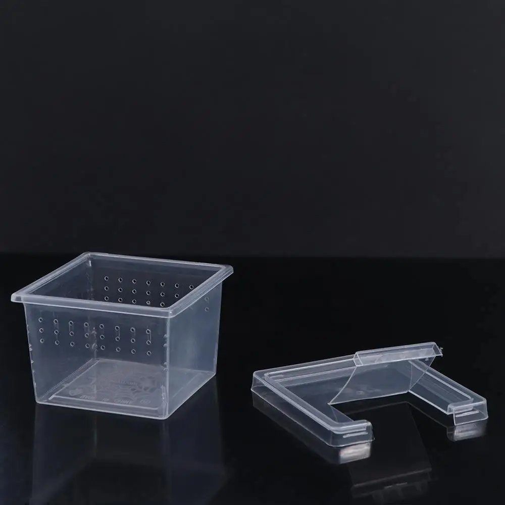 Household Reptile Accessories for Scorpion Spider Ants Hatching Tank Insect Feeding Box Lizard Living Box Reptile Habitat thumbnail 4