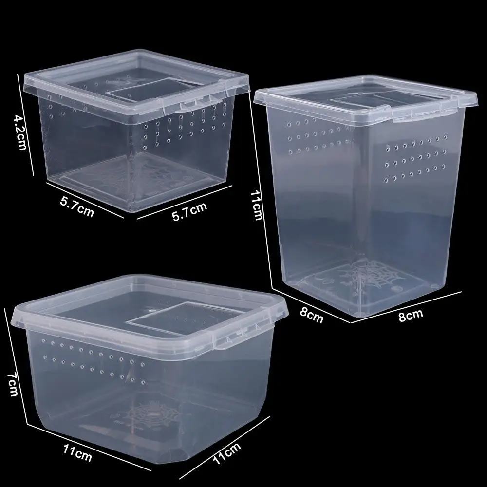Household Reptile Accessories for Scorpion Spider Ants Hatching Tank Insect Feeding Box Lizard Living Box Reptile Habitat thumbnail 6