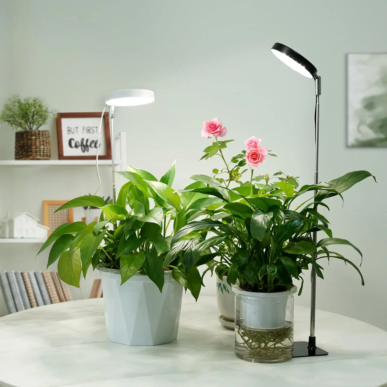Grow Lights for Indoor Plants Full Spectrum, 48 LEDs Plant Light for Indoor Plants,3 Optional Spectrums, 3/9/12H,Grow Light thumbnail 6