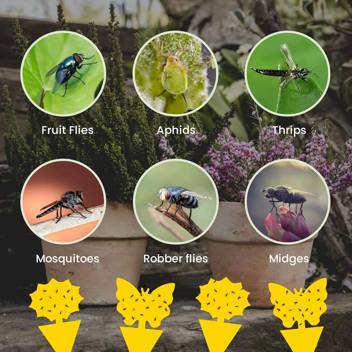 Sticky Insect Board Powerful Flycatcher Sticker Sheet Greenhouse Pest Control Insecticide Double-sided Adhesive Tape thumbnail 2