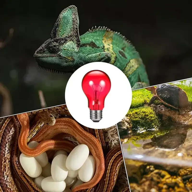 Heat Light For Reptiles Heating Lamp 100w Uva Basking Light Pet Supplies For Lizard Bearded Dragon Turtle Amphibians Mammals thumbnail 5