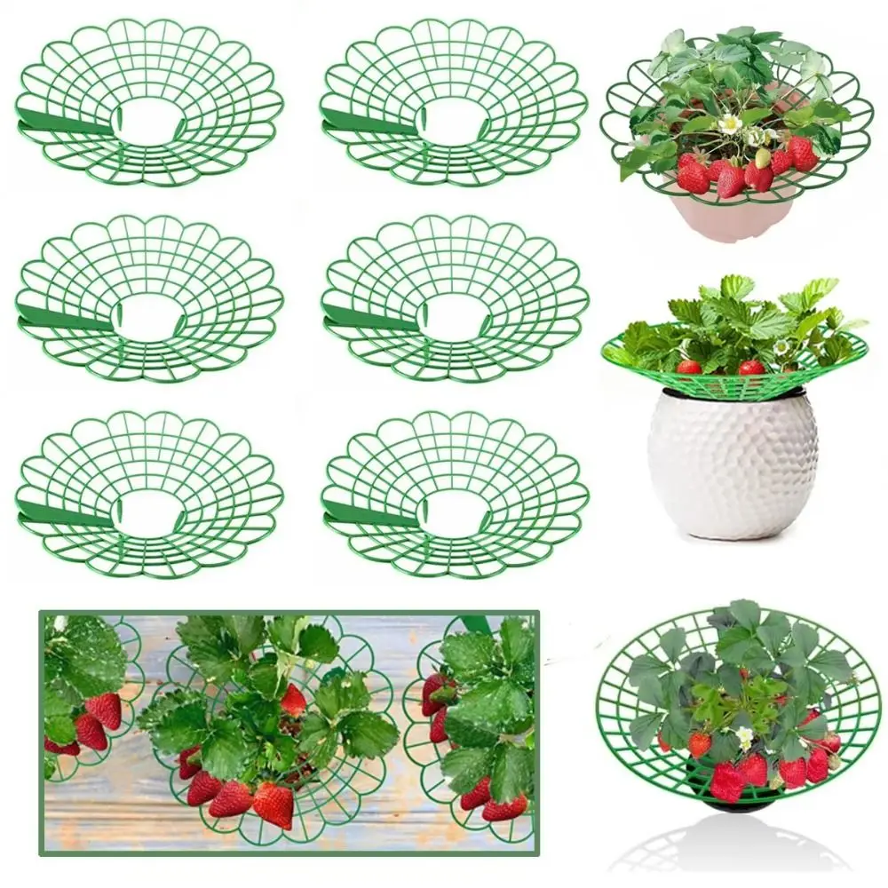1/3Pcs Round Strawberry Stand Anti-corrosion Anti-ground Strawberry Cradle Support with Three Sturdy Legs Trellis Planter Insert thumbnail 4