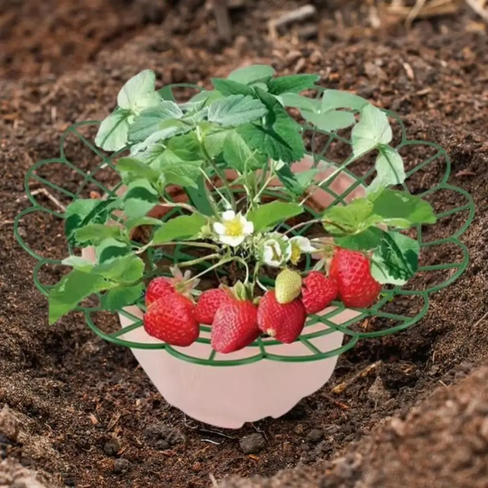 1/3Pcs Round Strawberry Stand Anti-corrosion Anti-ground Strawberry Cradle Support with Three Sturdy Legs Trellis Planter Insert thumbnail 3