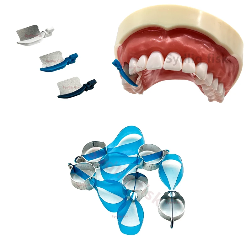 Dental Matrix Bands Sectional Matrix System C3 Metal Matrices Clamping Ring Dental Tulwar wedges Clamp Forceps Dentistry Tools thumbnail 4