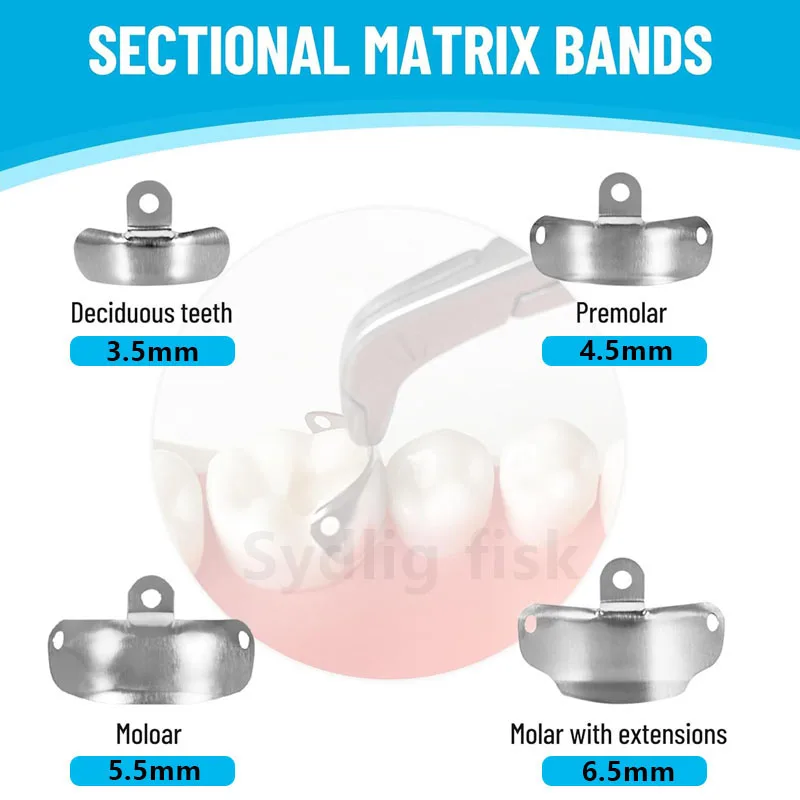 Dental Matrix Bands Sectional Matrix System C3 Metal Matrices Clamping Ring Dental Tulwar wedges Clamp Forceps Dentistry Tools thumbnail 2