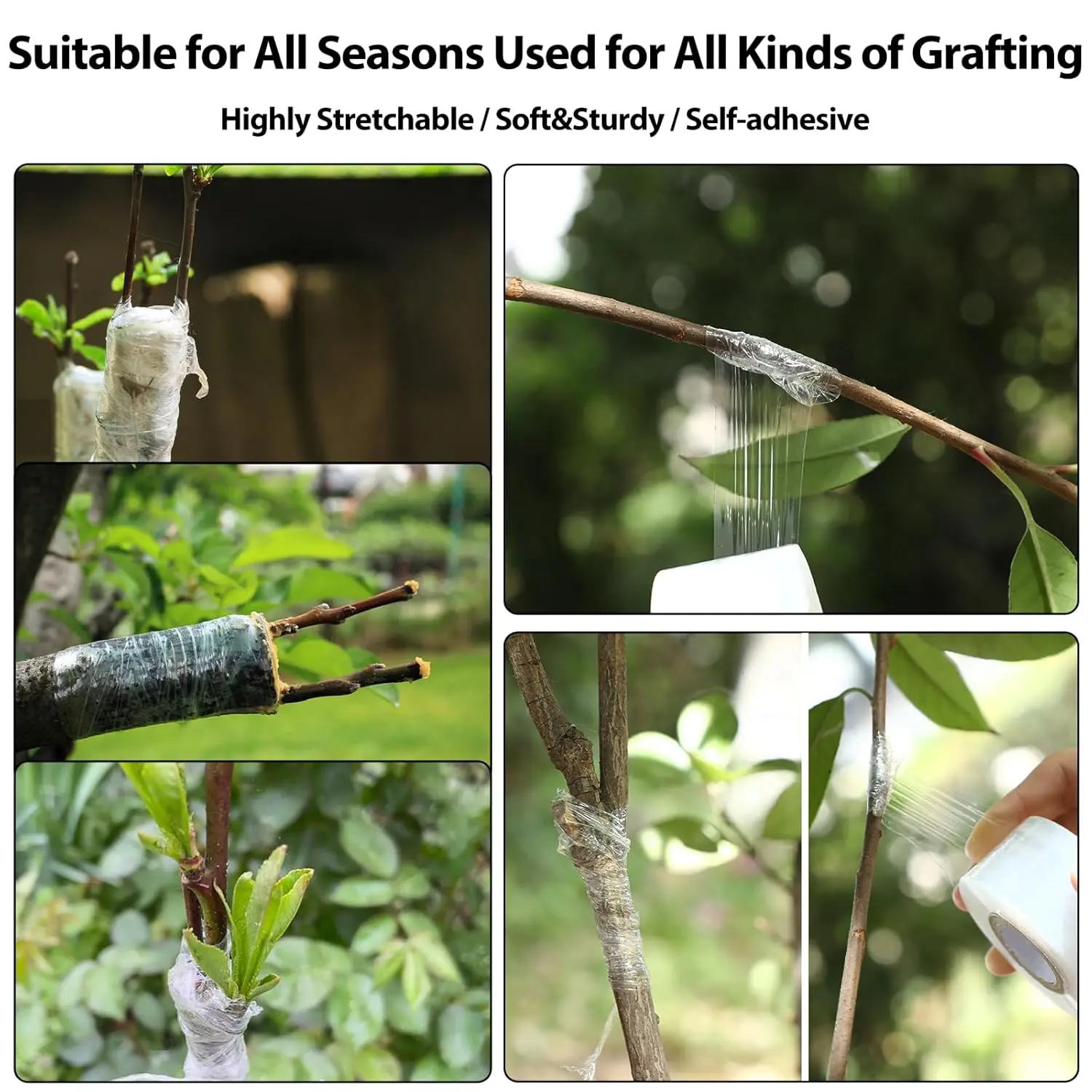 200m Length Eco-Friendly Biodegradable Grafting Tape Graft Membrane Gardening Bind Belt PE Grafting Tape Packaging wrapping film thumbnail 4
