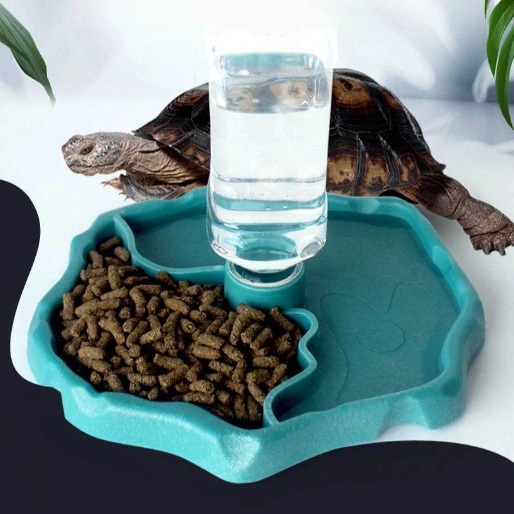 New Removable Reptile Feeder Easy-Clean Shallow Small Pet Bowl Non-Tip Large Capacity Turtle Water Dispenser Pet Supplies