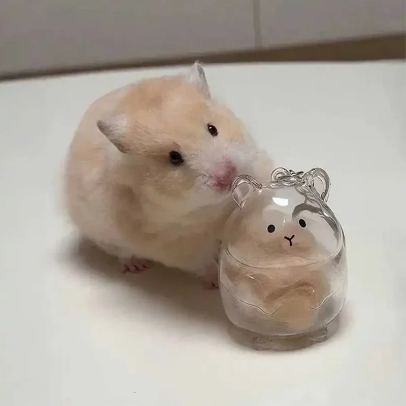 Hamster Fur Storage Keychain Cute Pet Shaped Transparent Hair Container Box Pendants Key Ring DIY Accessories Memorial Gifts thumbnail 2