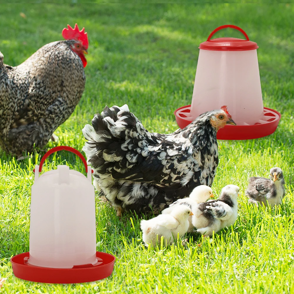 3kg+3L Poultry Feeder And Waterer Water Food Dispenser Automatic Chicken Birds Chick Waterer Feeding Bucket Container Supply thumbnail 2