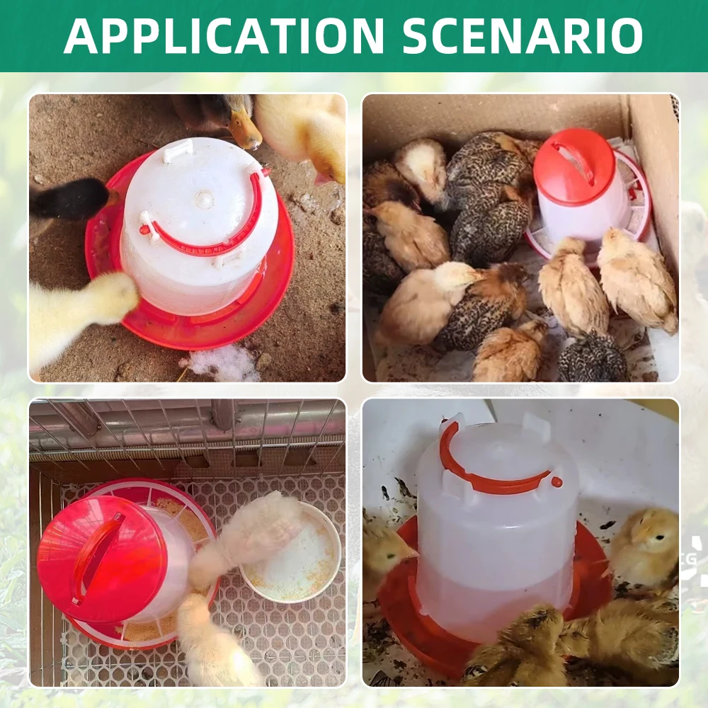 3kg+3L Poultry Feeder And Waterer Water Food Dispenser Automatic Chicken Birds Chick Waterer Feeding Bucket Container Supply thumbnail 5