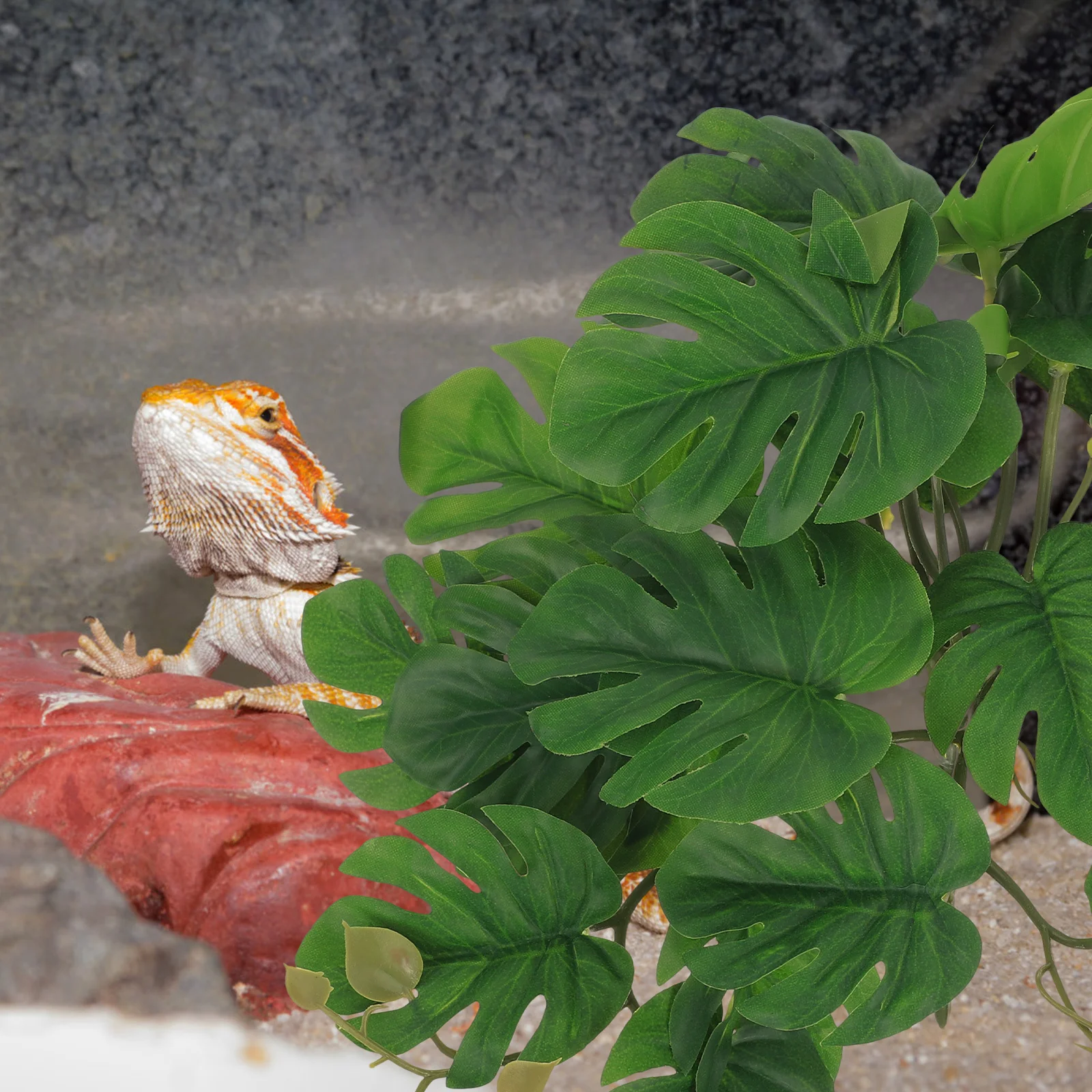 Reptile Plants For Terrarium Aquarium Landscaping Plant Reptile Tank Decor Fake Plants Fish Tank Decorations Pet Supplies thumbnail 4