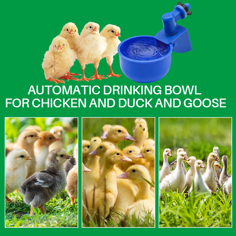 5/10/20pcs Automatic Chicken Water Cups Poultry Waterer Bowl Chicken Coop Hens Feeder Plastic Drink Cup for Chicken Duck Goose thumbnail 6