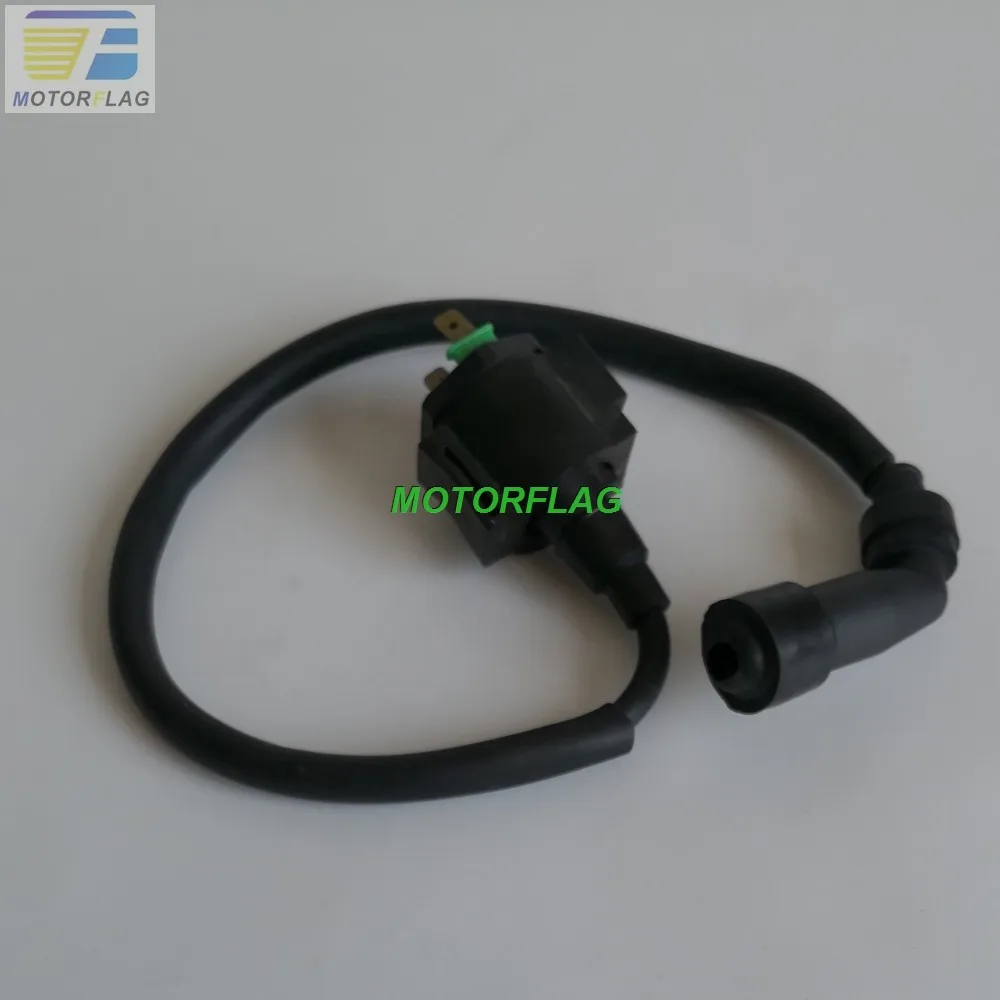 Ignition Coil for Rebel CA250 CMX250 Regal Raptor DD250 KEEWAY Patagonian Eagle 250 Leonart Spyder 125 JIALING JL250 Sinski 250 thumbnail 2