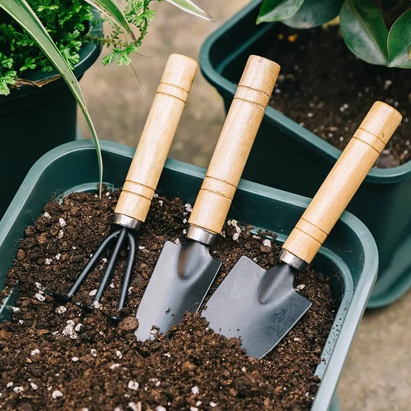 3PCS Planting Tools Mini Digging Weeding Garden Tool Set for Indoor Flower Pot Cactus Vegetables Small Plants Garden BZQ01 thumbnail 6