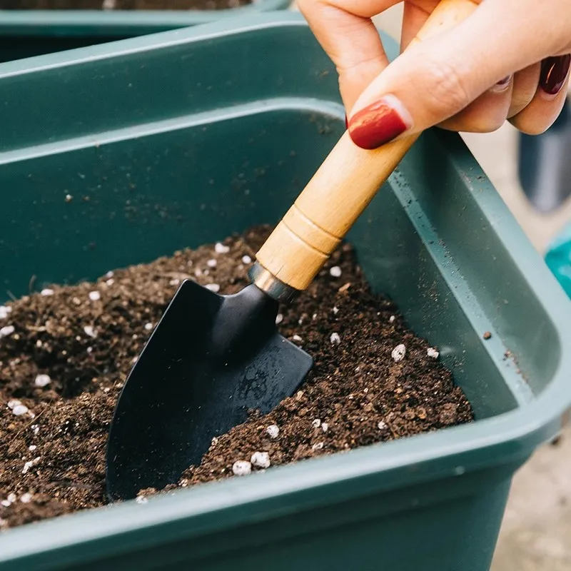3PCS Planting Tools Mini Digging Weeding Garden Tool Set for Indoor Flower Pot Cactus Vegetables Small Plants Garden BZQ01 thumbnail 2