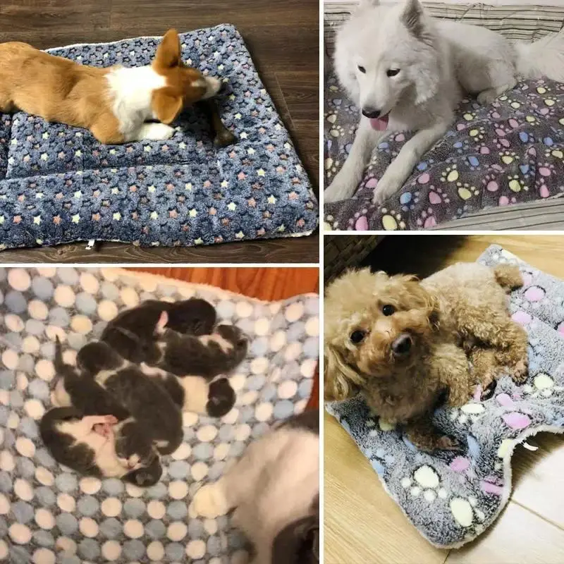 Pet Sleeping Mat Dog Bed Cat Bed Soft Hair Thickened Blanket Pad Fleece Home Washable Warm Bear Pattern Blanket Pet Supplies thumbnail 3
