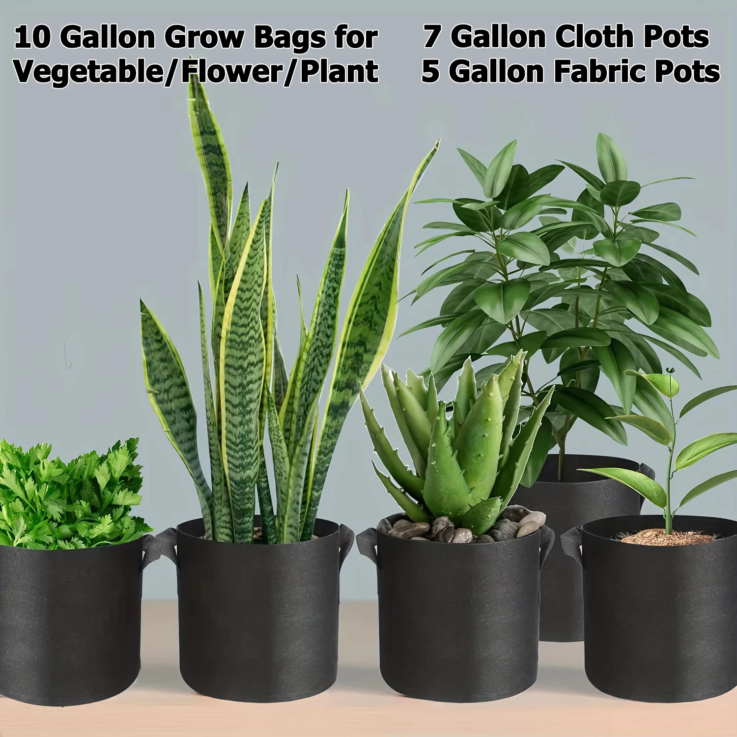 10 Gallon Grow Bags for Vegetable/Flower/Plant, 5 Gallon Aeration Fabric Pots with Handles Cloth Pots for Plants Garden Gift thumbnail 6