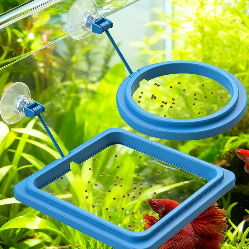 Fish Feeding Ring For Aquarium Round  Square Floating Food Feeder With Suction Cup For Betta Goldfish Guppy Turtle Small Fish
