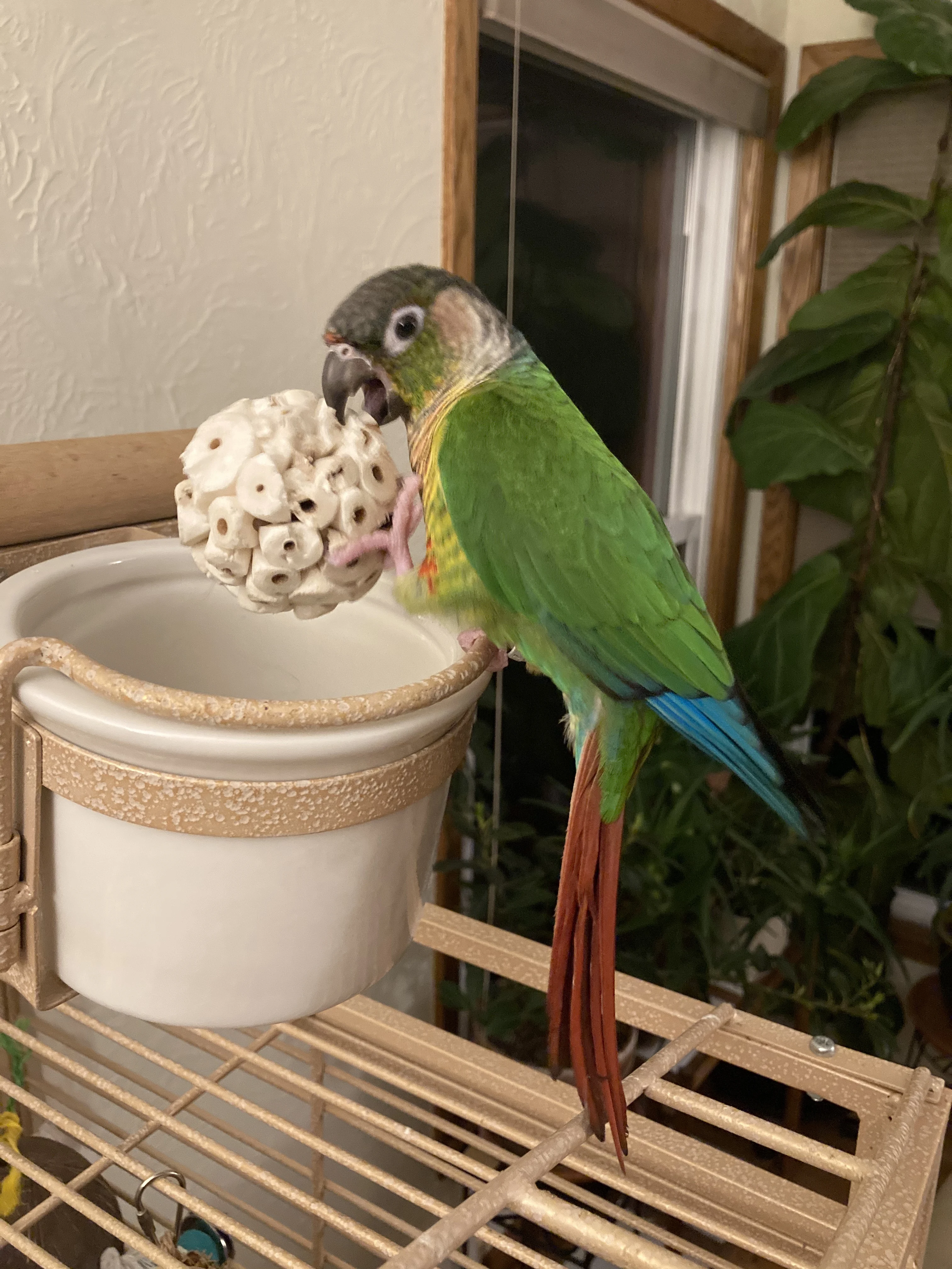 Parrot Chewing Toy Ball Chew Shred Foraging Bird Cage Accessories for Parakeet Parrotlet Lovebird Budgies Conure Cockatiel thumbnail 4
