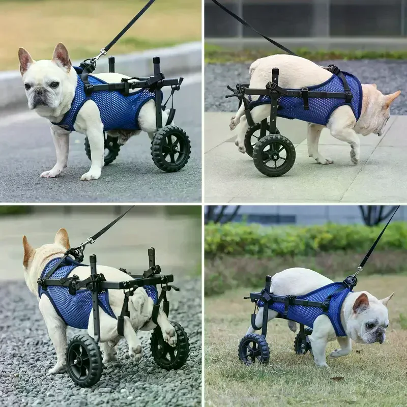 Adjustable Small Dog Wheelchair For Back Legs Disabled Pets Leg Brace Mobility Aid For Small Pets Hind Limb Rehabilitation Older thumbnail 3