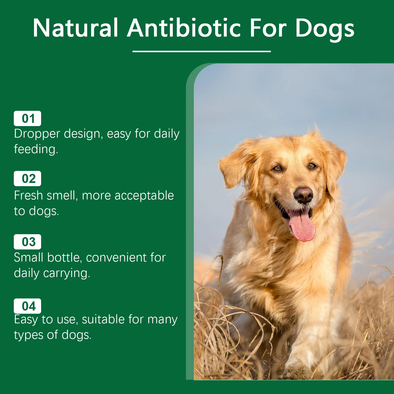 60ml Immune-Boosting Multivitamin Supplement for Dogs, Gentle Formula to Relieve Skin Discomfort, Daily Nutrition Supplement thumbnail 4