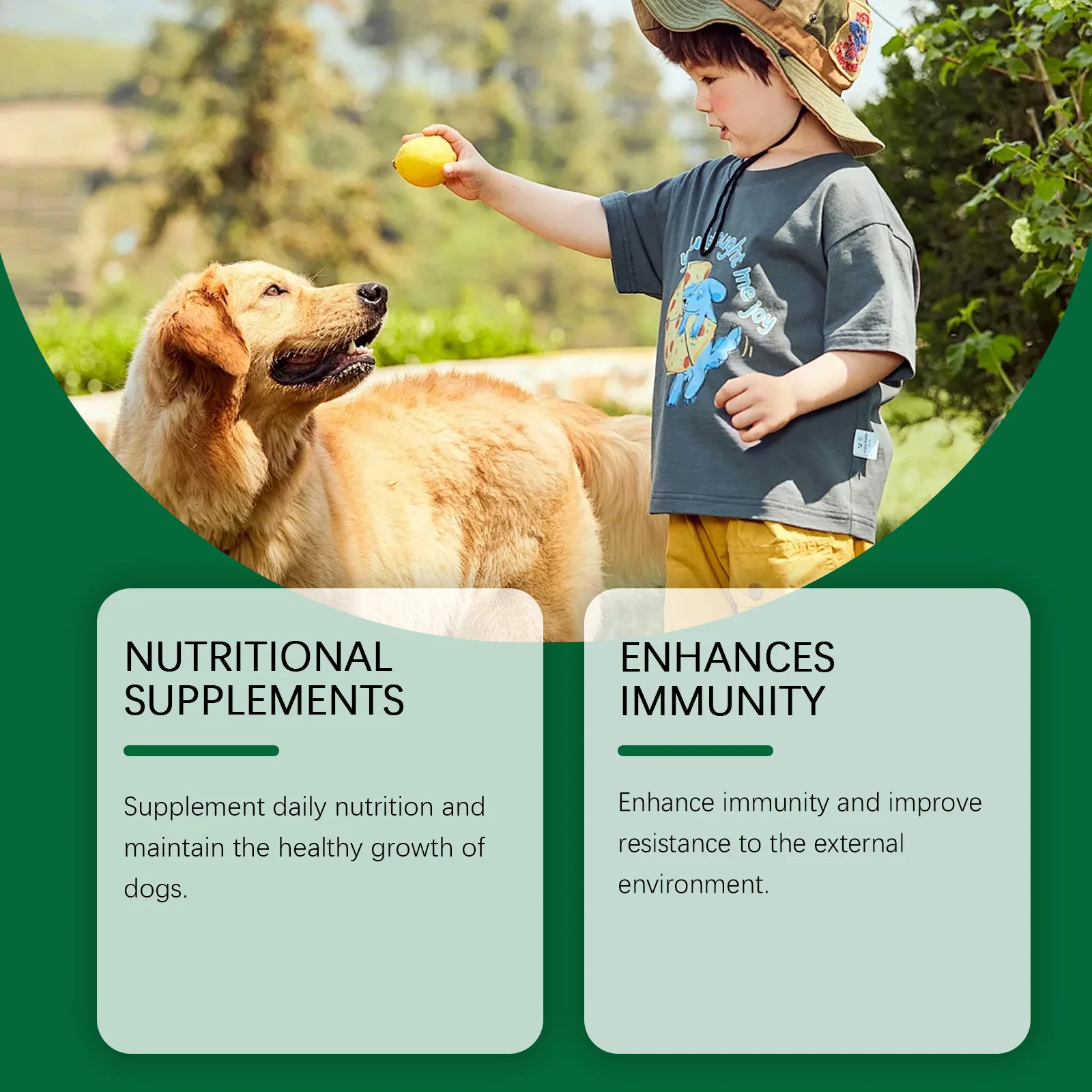 60ml Immune-Boosting Multivitamin Supplement for Dogs, Gentle Formula to Relieve Skin Discomfort, Daily Nutrition Supplement thumbnail 3