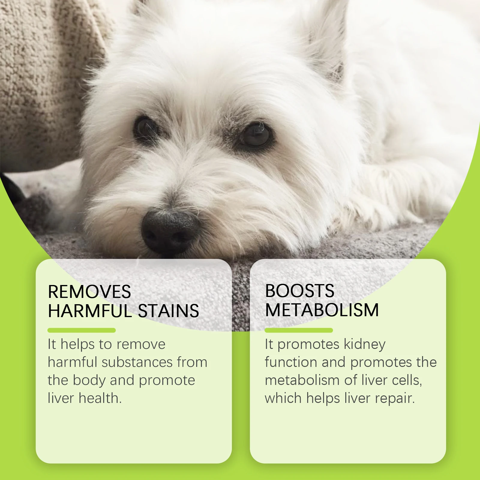 60ml Liver Cell Metabolism Enhancing Care Drops Dogs Boost Nutrition Revitalize Your Dog's Energy Comprehensive Supplement thumbnail 3