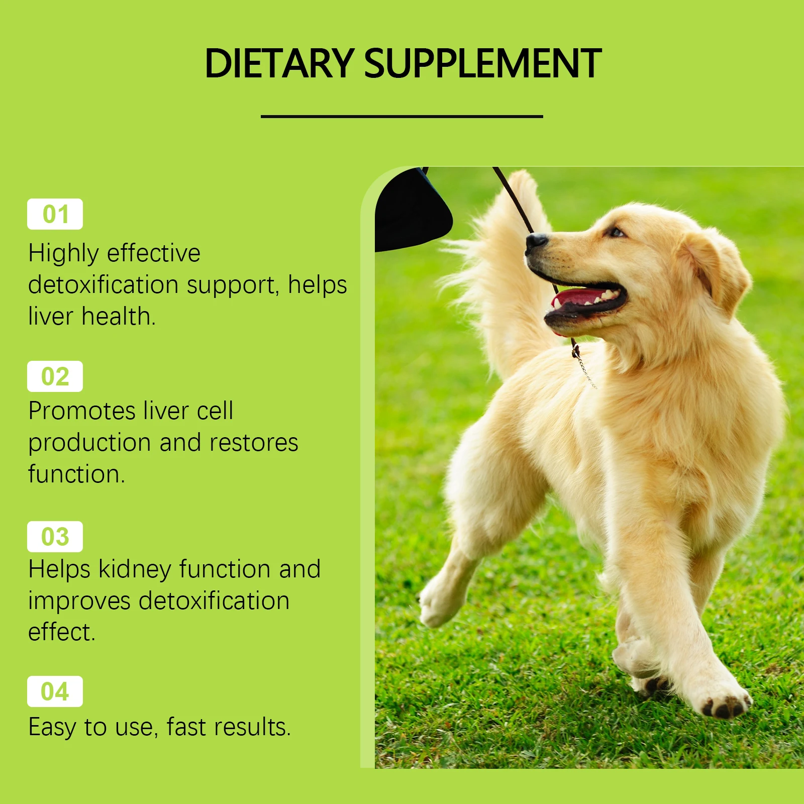 60ml Liver Cell Metabolism Enhancing Care Drops Dogs Boost Nutrition Revitalize Your Dog's Energy Comprehensive Supplement thumbnail 4