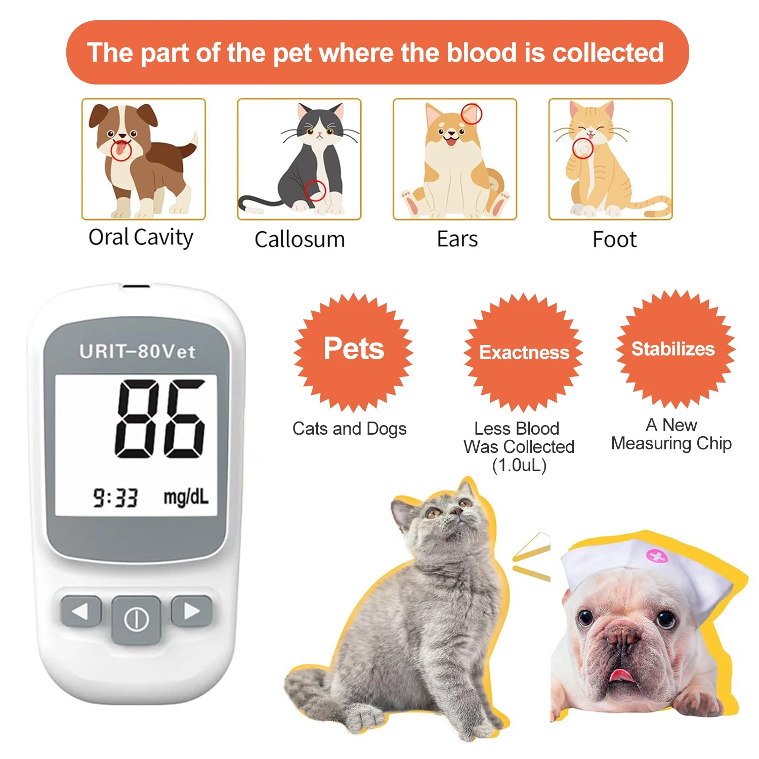 Glucose Monitoring Kit for Dogs & Cats, Pet Blood Sugar Monitor with Pain-Free & Easy Shuttle, No-Coding Kits with 50 Strips thumbnail 3