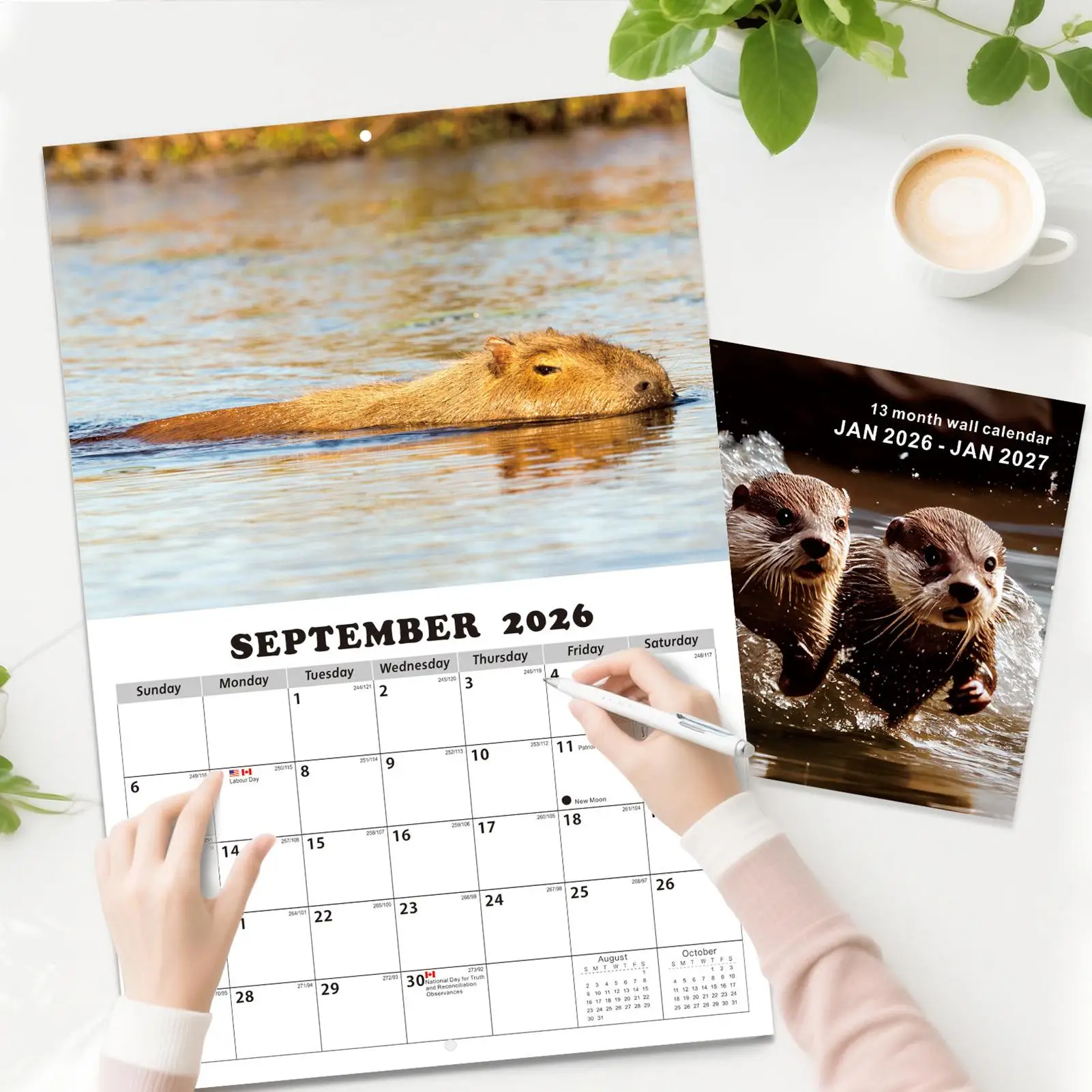 Monthly Calendar 2026-2027 Wall Capybara-Themed Personal Time Management Planner School Year Calendar for Home School Office