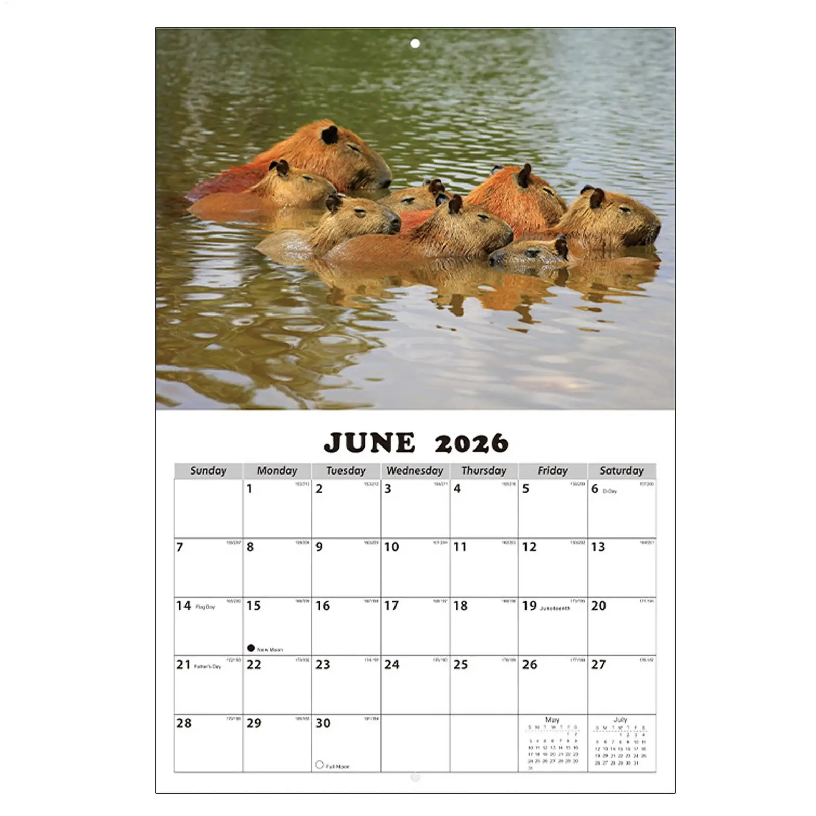 Monthly Calendar 2026-2027 Wall Capybara-Themed Personal Time Management Planner School Year Calendar for Home School Office thumbnail 5