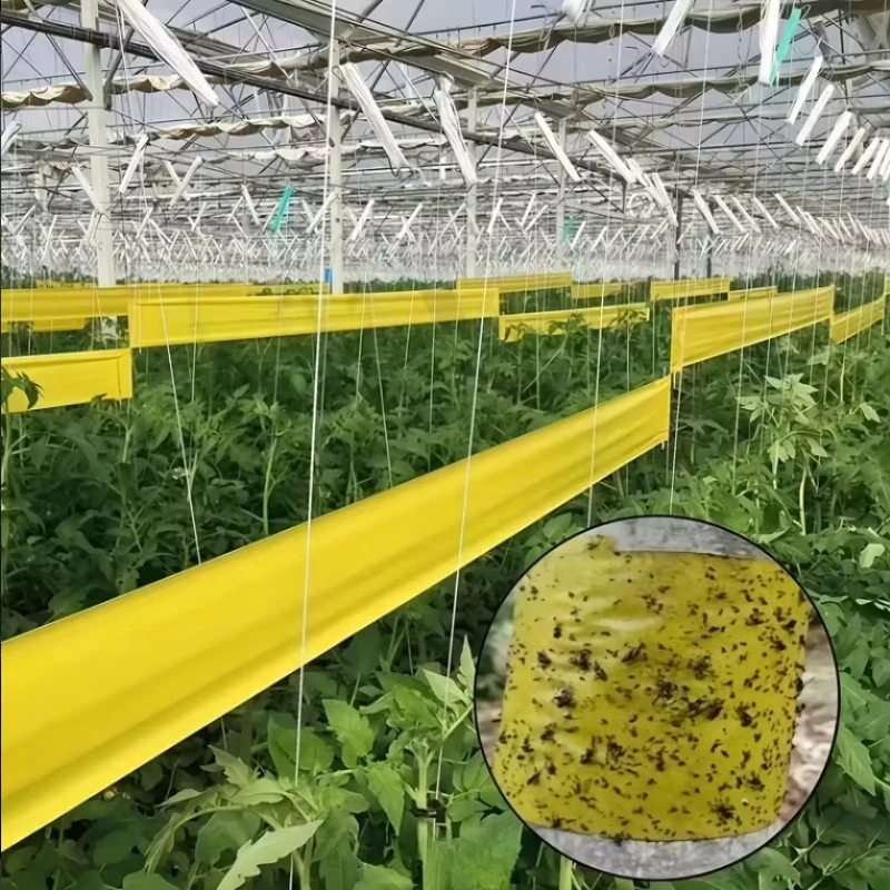 5/10M Yellow Double-sided Insect Proof Tape Outdoor Insect Trap Garden Pest Control Prevent Aphids Ants Moths Climbing thumbnail 6