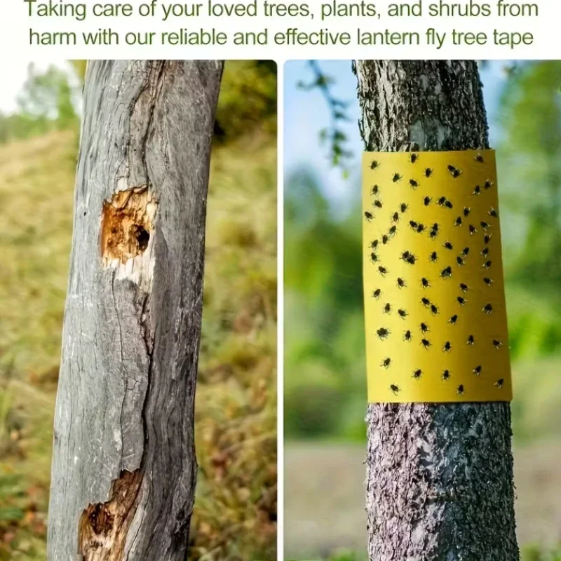 5/10M Yellow Double-sided Insect Proof Tape Outdoor Insect Trap Garden Pest Control Prevent Aphids Ants Moths Climbing thumbnail 2