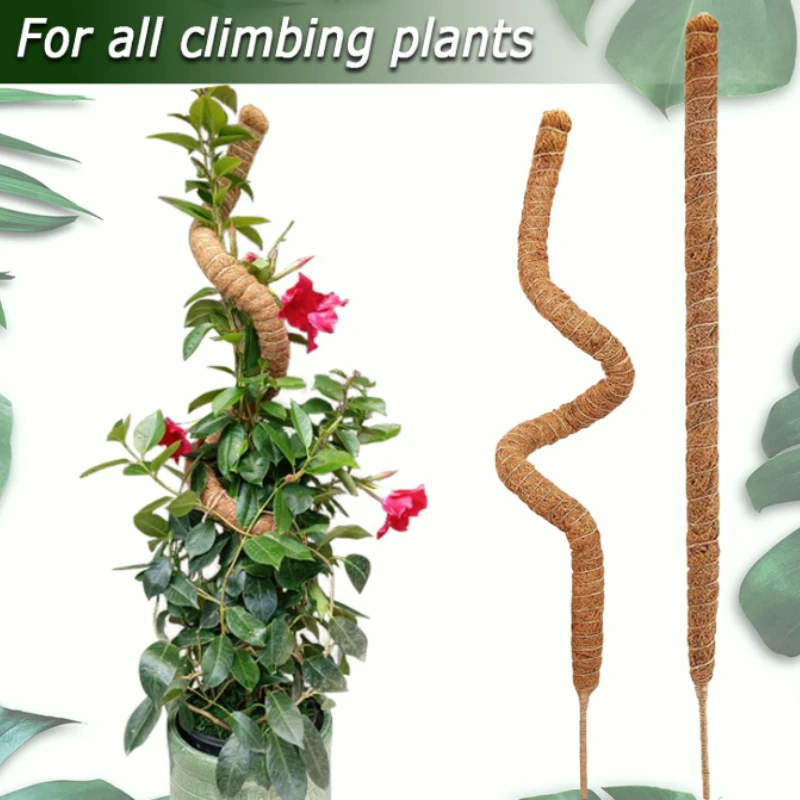 Bendable Moss Pole, Plants Climbing Support Extension Pole, Monstera Palm Vines Soporte Stakes, Garden Potted Plant Accessories thumbnail 2
