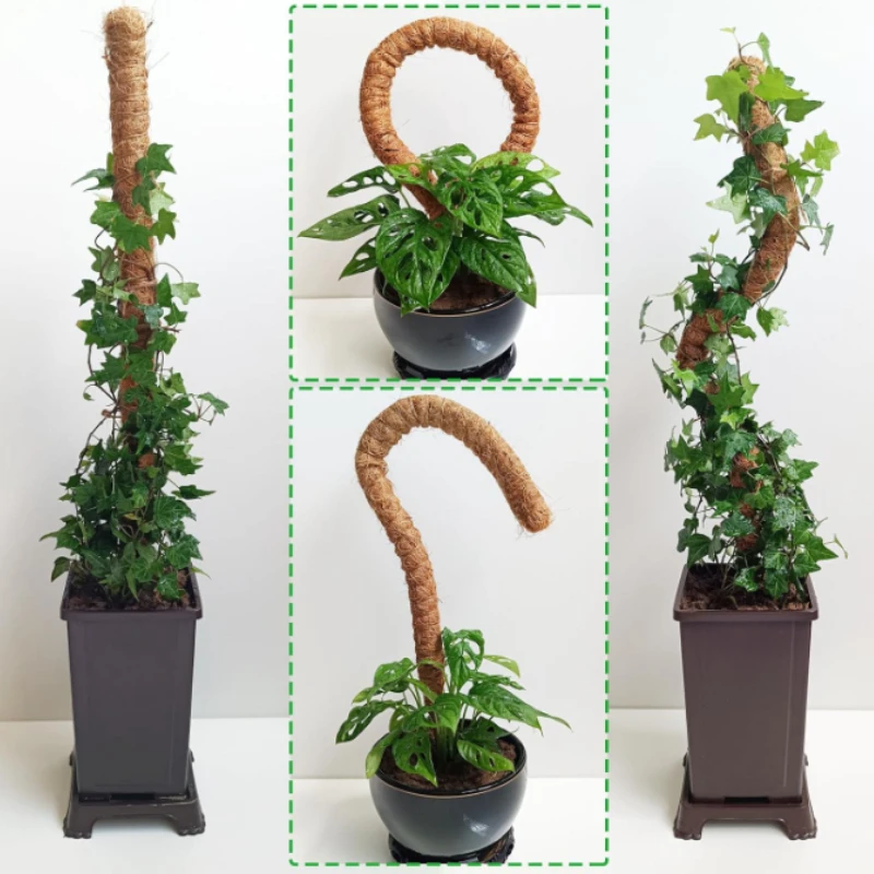 Bendable Moss Pole, Plants Climbing Support Extension Pole, Monstera Palm Vines Soporte Stakes, Garden Potted Plant Accessories thumbnail 5