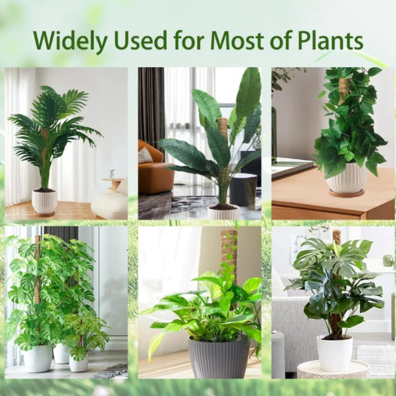 Bendable Moss Pole, Plants Climbing Support Extension Pole, Monstera Palm Vines Soporte Stakes, Garden Potted Plant Accessories thumbnail 6