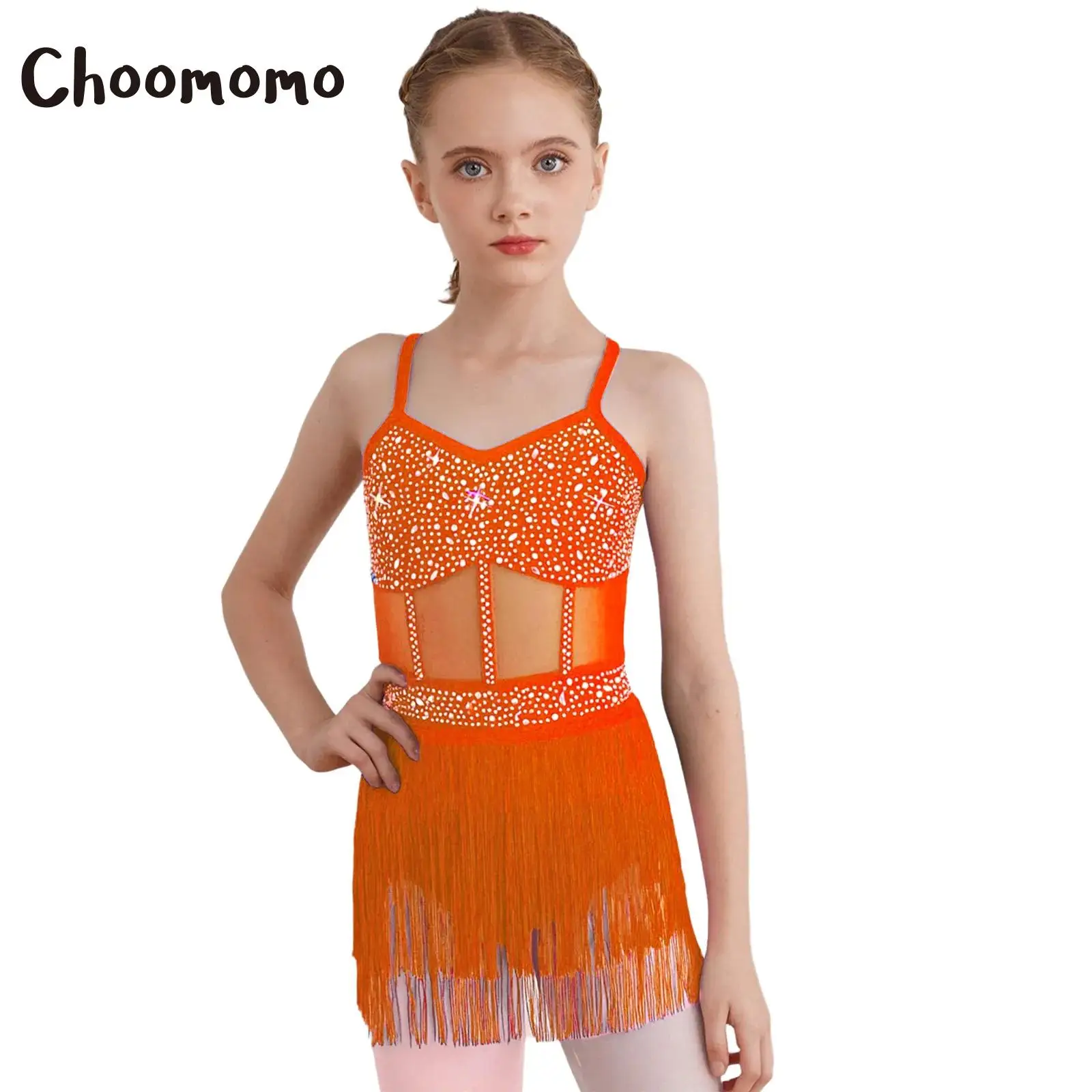 Kids Girls Rhinestone Latin Tango Dance Leotard Dress Sheer Mesh Patchwork Tiered Tassel Fringed Bodysuit Jazz Salsa Dance Dress