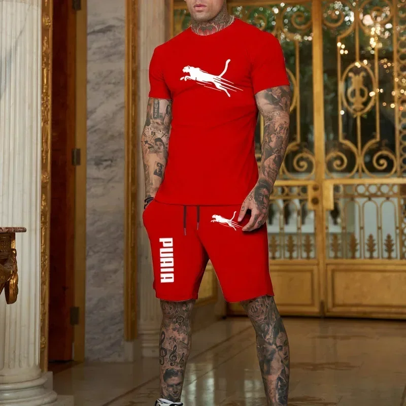 2025 Fashion and Casual Summer Outdoor Sports Set Men's Breathable T-shirt and Shorts Casual Fashion Two-piece Set thumbnail 5