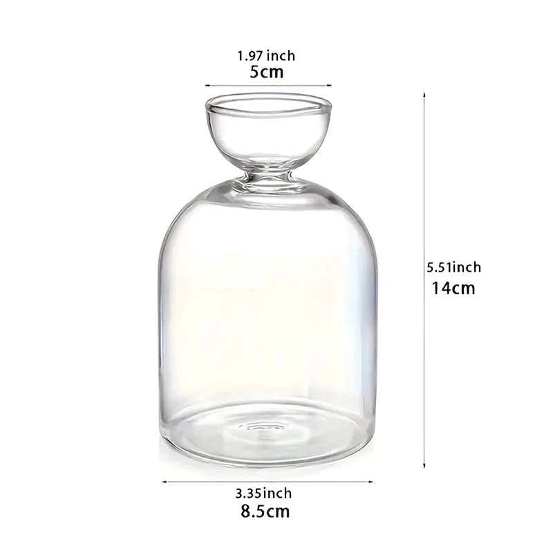 Avocado Seed Starter Vase Transparent Glass Vase Vase For Growing Plant Glass Seed Growing Kit For Gardening Lovers thumbnail 6