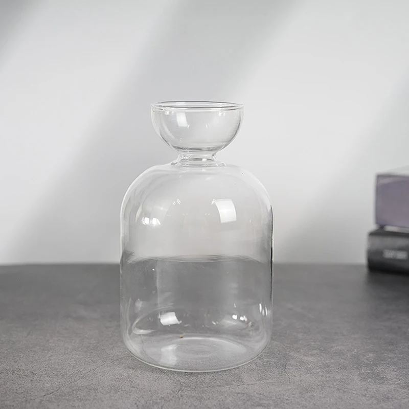 Avocado Seed Starter Vase Transparent Glass Vase Vase For Growing Plant Glass Seed Growing Kit For Gardening Lovers thumbnail 5