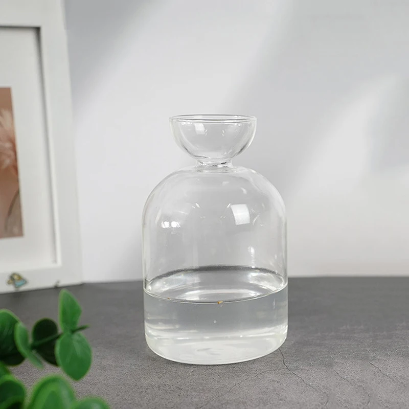 Avocado Seed Starter Vase Transparent Glass Vase Vase For Growing Plant Glass Seed Growing Kit For Gardening Lovers thumbnail 3