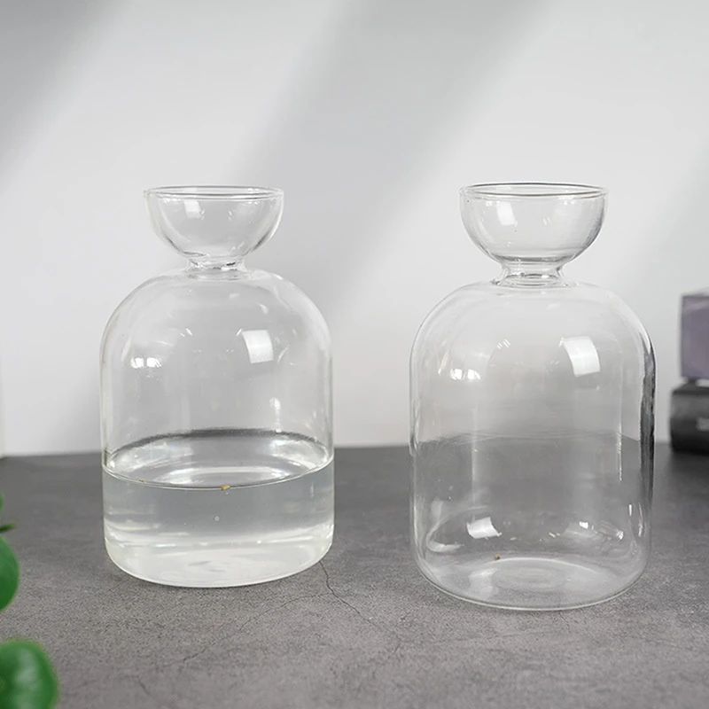 Avocado Seed Starter Vase Transparent Glass Vase Vase For Growing Plant Glass Seed Growing Kit For Gardening Lovers thumbnail 4