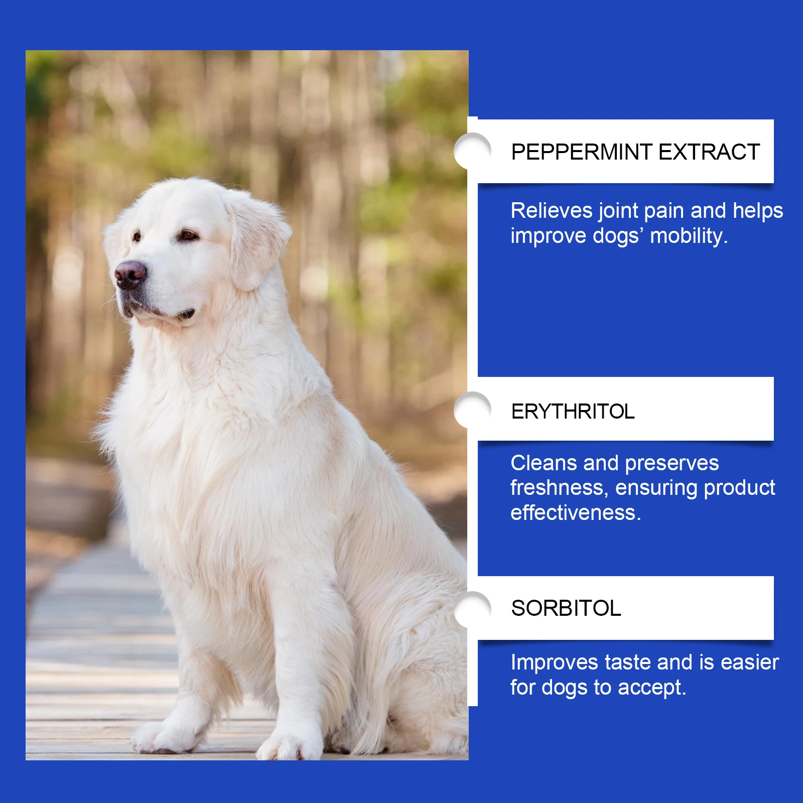 Urinary Tract Infection-Reducing Pet Dietary Supplement Prevents Disease Cares Pet's Discomfort Cat Nutritional Supplement thumbnail 3