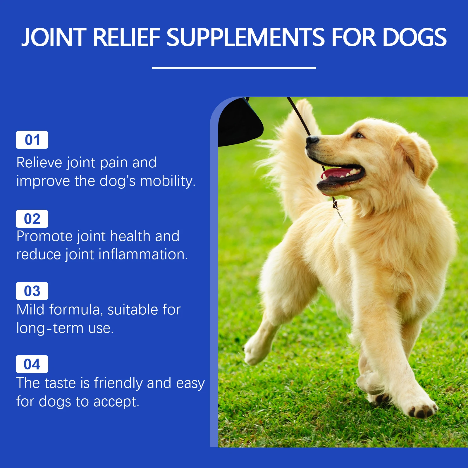 Urinary Tract Infection-Reducing Pet Dietary Supplement Prevents Disease Cares Pet's Discomfort Cat Nutritional Supplement thumbnail 4