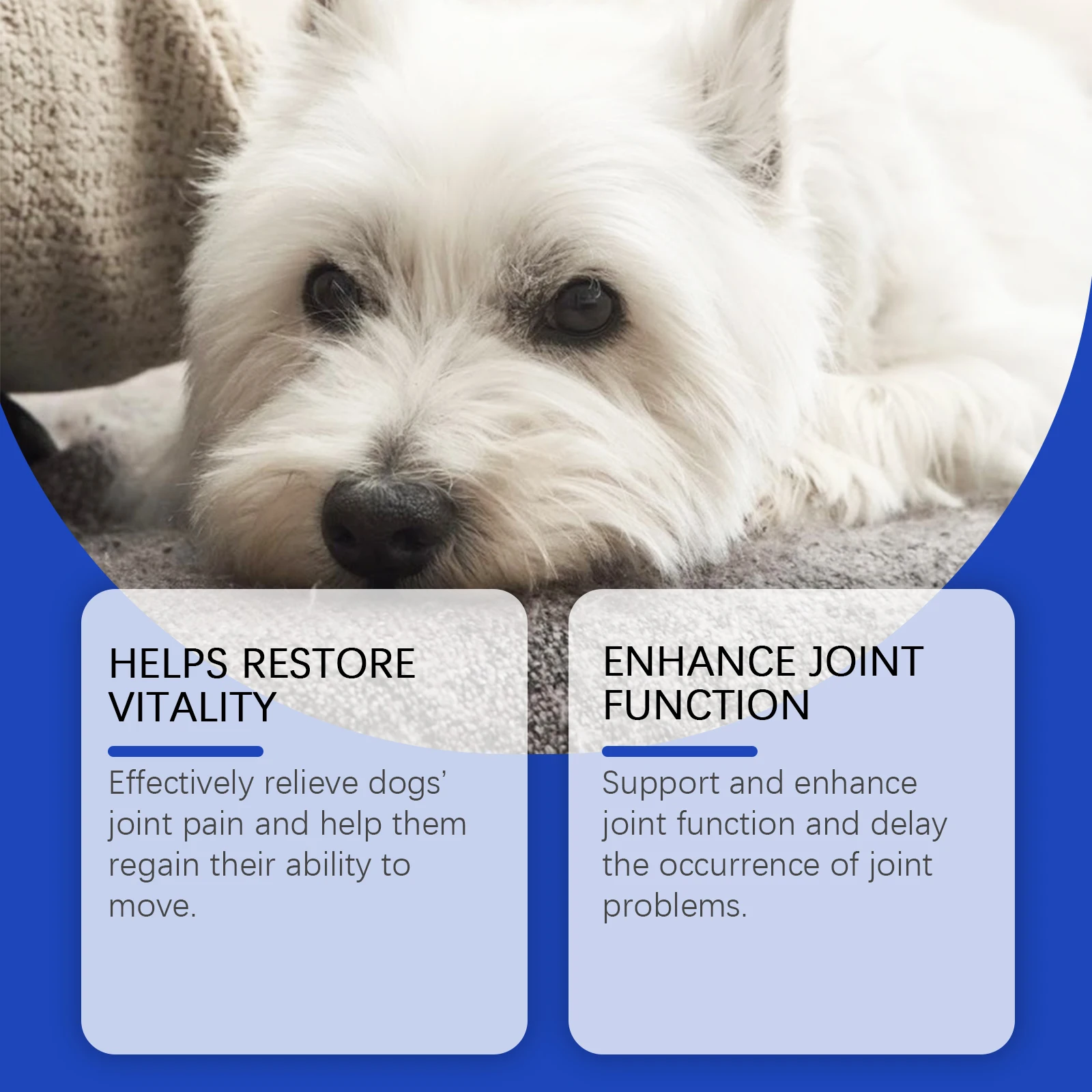 Urinary Tract Infection-Reducing Pet Dietary Supplement Prevents Disease Cares Pet's Discomfort Cat Nutritional Supplement thumbnail 2