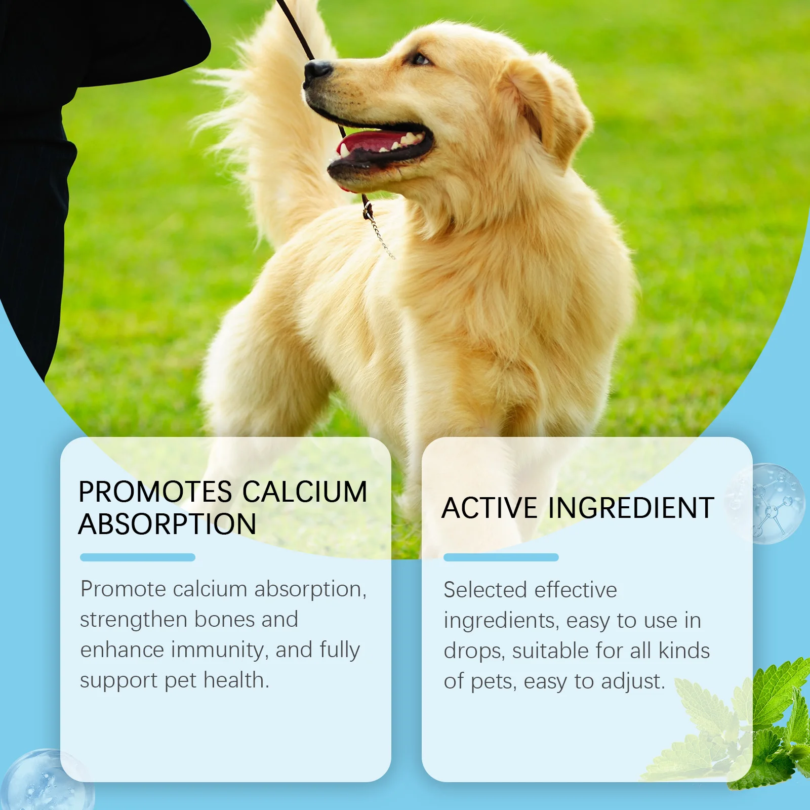 Strong Bones Pet Vitamin Supplement Drops Promote Calcium Absorption Boost Immunity Enhance Vitality Dietary Supplement Drops thumbnail 2