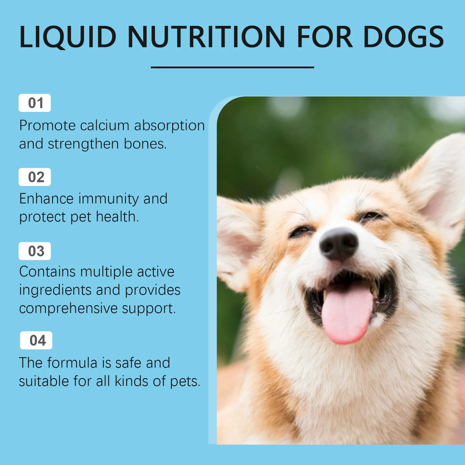 Strong Bones Pet Vitamin Supplement Drops Promote Calcium Absorption Boost Immunity Enhance Vitality Dietary Supplement Drops thumbnail 3