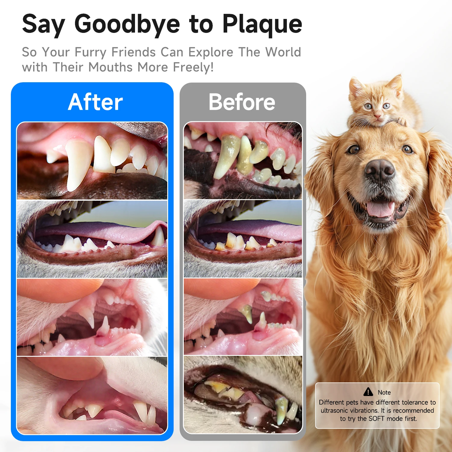 CURVY MOON Pet Ultrasonic Tooth Cleaner Dog Cat Dental Scaler for Tartar Removal Teeth Cleaning Tool Portable Waterproof Cleaner thumbnail 2