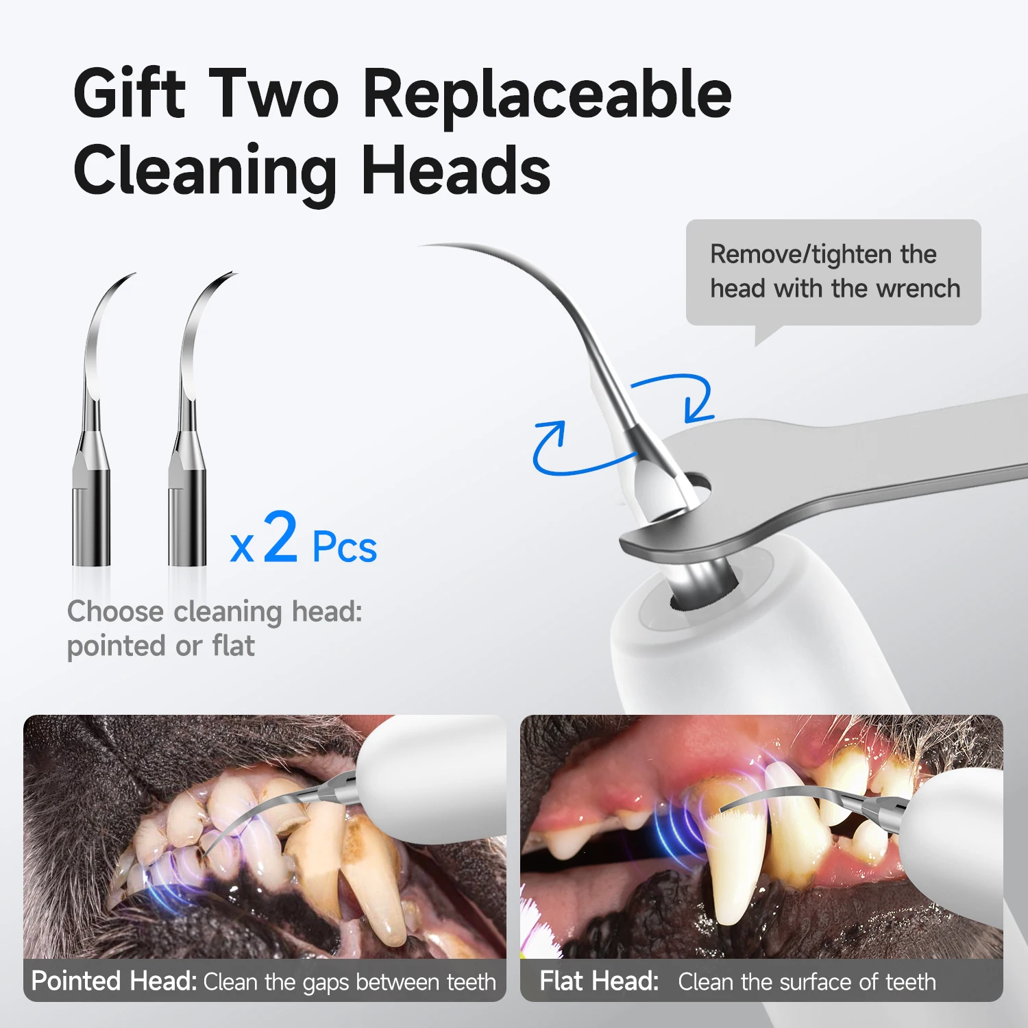 CURVY MOON Pet Ultrasonic Tooth Cleaner Dog Cat Dental Scaler for Tartar Removal Teeth Cleaning Tool Portable Waterproof Cleaner thumbnail 6